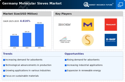 Germany Molecular Sieves Market Infographic