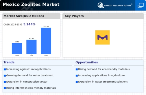 Mexico Zeolites Market Infographic
