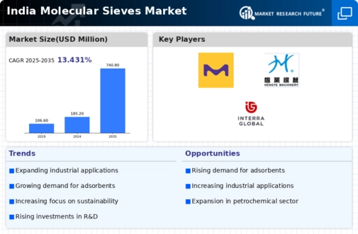 India Molecular Sieves Market Infographic