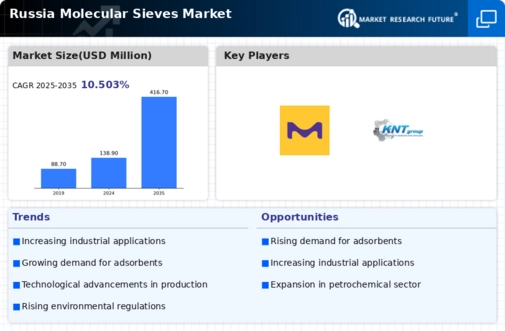Russia Molecular Sieves Market Infographic