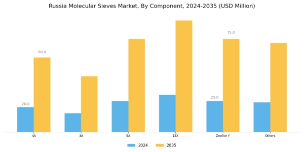 Russia Molecular Sieves Market Segment Image 0