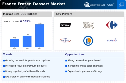 France Frozen Dessert Market Infographic