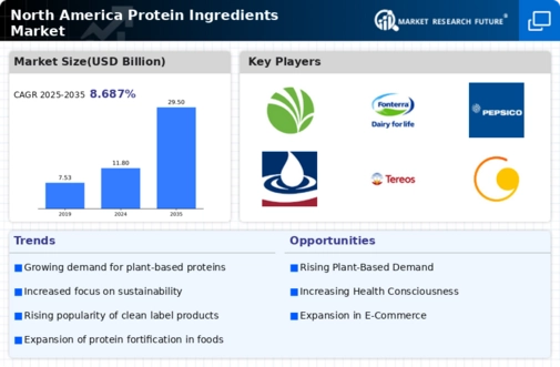 North America Protein Ingredients Market
 Infographic