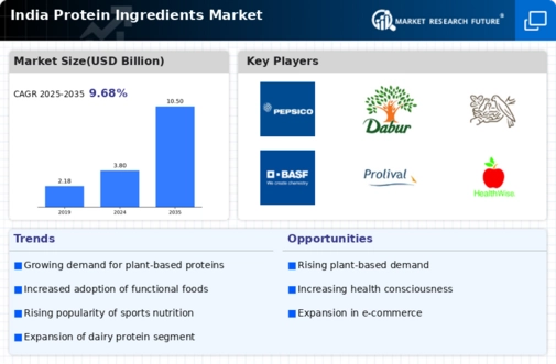 India Protein Ingredients Market Infographic