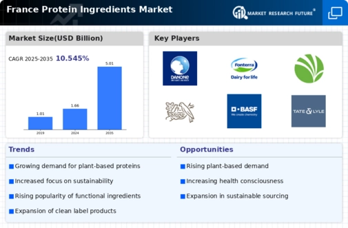 France Protein Ingredients Market Infographic