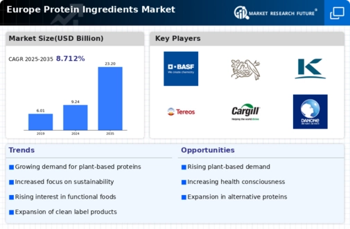 Europe Protein Ingredients Market Infographic