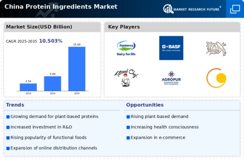 China Protein Ingredients Market Infographic