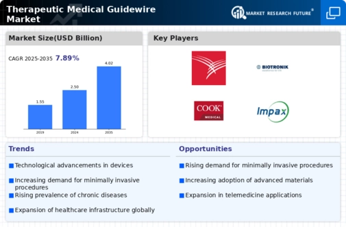 Therapeutic Medical Guide Wire Market Infographic