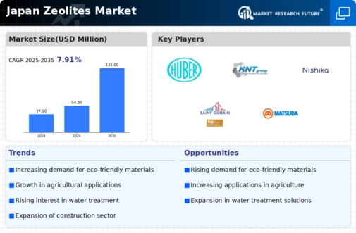 Japan Zeolites Market Infographic