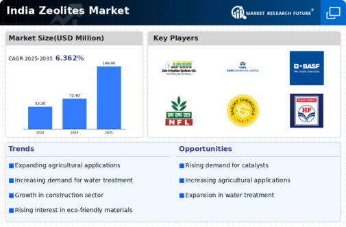 India Zeolites Market Infographic