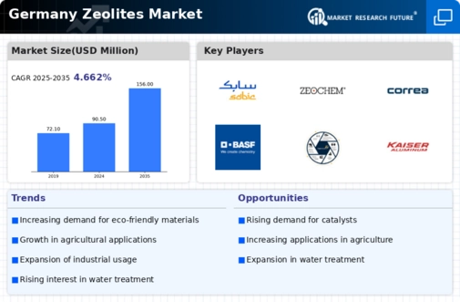 Germany Zeolites Market Infographic