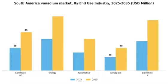 South America Vanadium Market Segment Image 1