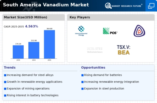 South America Vanadium Market Infographic