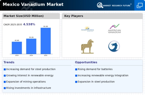 Mexico Vanadium Market Infographic