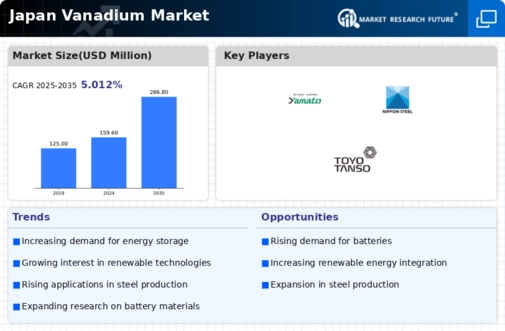 Japan Vanadium Market Infographic
