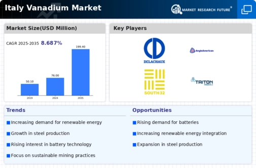 Italy Vanadium Market Infographic