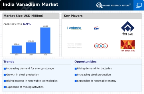 India Vanadium Market Infographic