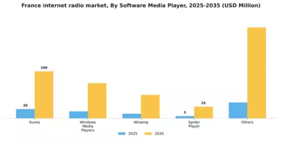 France Internet Radio Market Segment Image 3