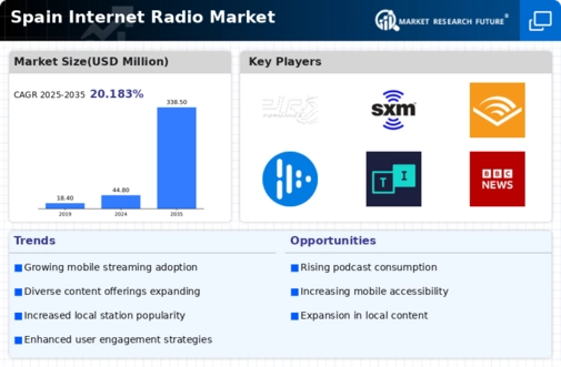Spain Internet Radio Market Infographic