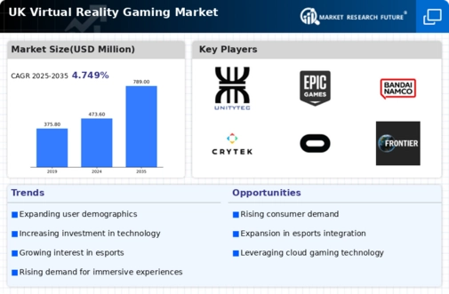 UK Virtual Reality Gaming Market Infographic