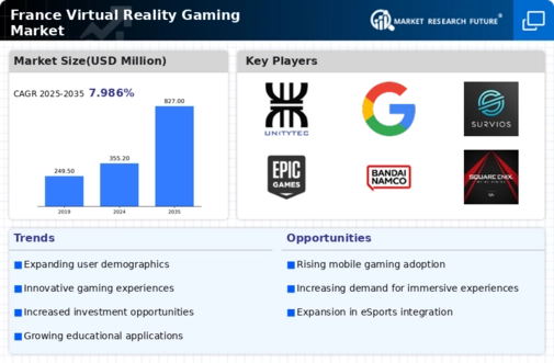 France Virtual Reality Gaming Market Infographic