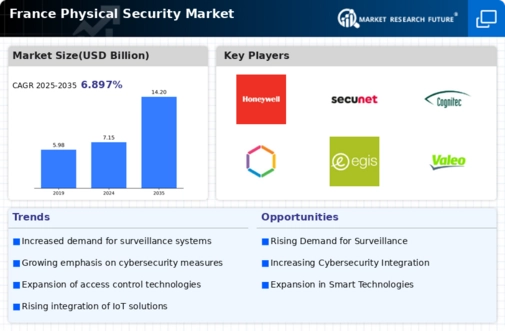France Physical Security Market Infographic