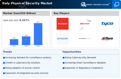 Italy Physical Security Market Infographic