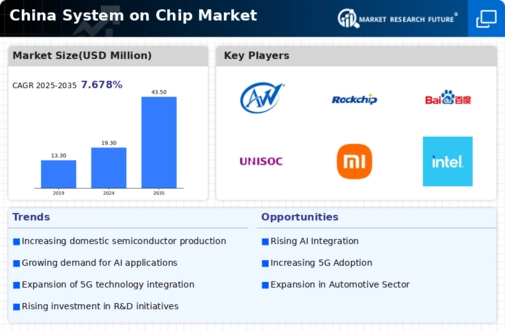 China System On Chip Market Infographic
