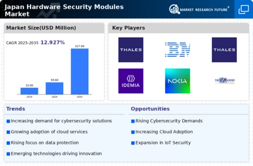Japan Hardware Security Modules Market Infographic