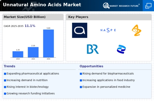 Unnatural Amino Acids Market Infographic