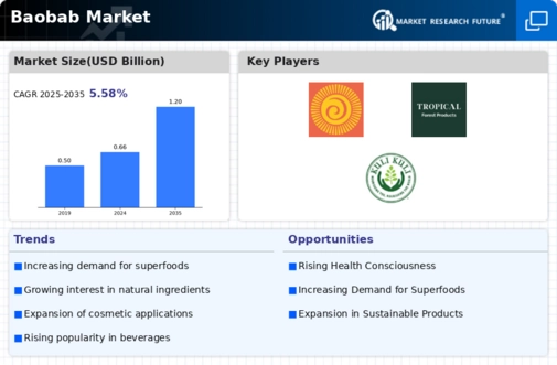 Baobab Market Infographic