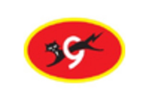 India Industrial Lighting Market key player