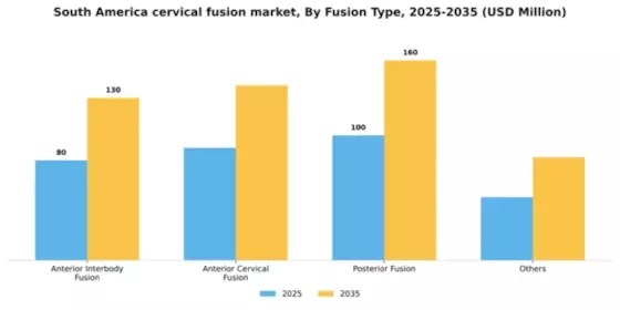 South America Cervical Fusion Market Segment Image 1