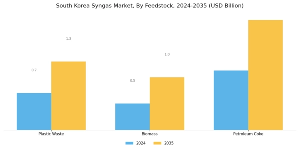 South Korea Syngas Market Segment Image 0
