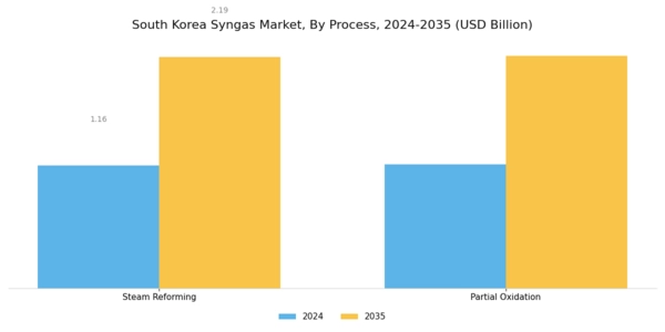 South Korea Syngas Market Segment Image 1