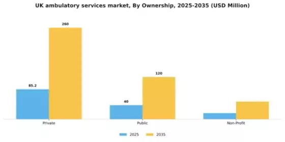 UK Ambulatory Services Market Segment Image 0