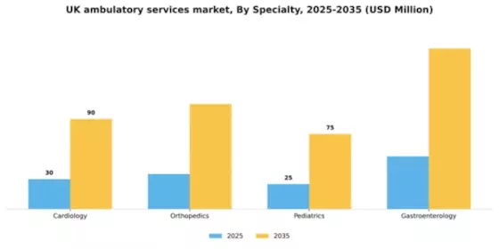 UK Ambulatory Services Market Segment Image 1