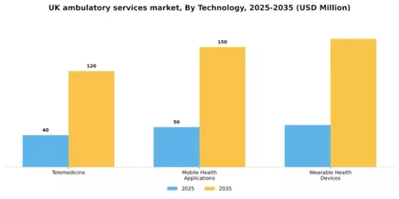 UK Ambulatory Services Market Segment Image 2