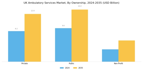 UK Ambulatory Services Market Segment Image 1