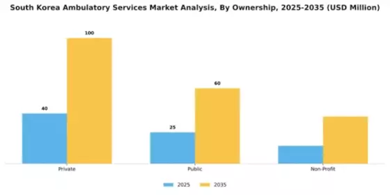 South Korea Ambulatory Services Market Segment Image 0