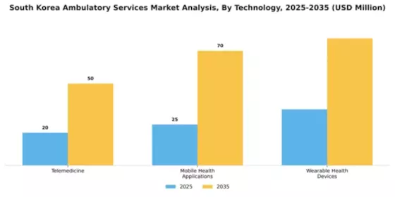 South Korea Ambulatory Services Market Segment Image 2