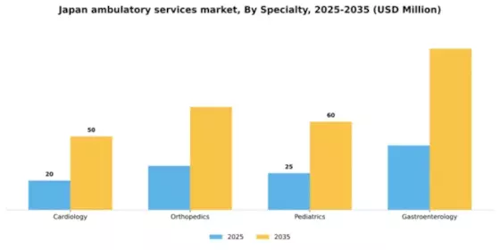 Japan Ambulatory Services Market Segment Image 1