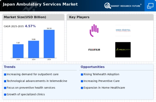 Japan Ambulatory Services Market Infographic