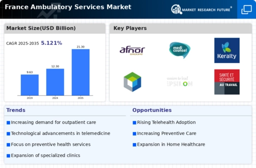 France Ambulatory Services Market Infographic