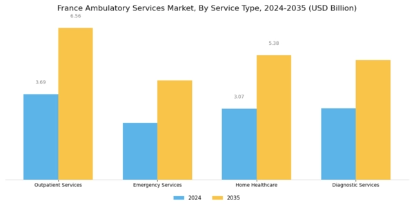 France Ambulatory Services Market Segment Image 0