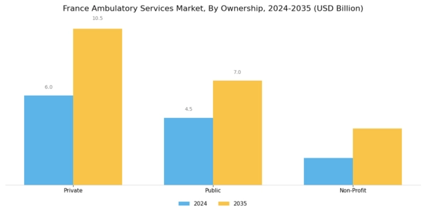 France Ambulatory Services Market Segment Image 1