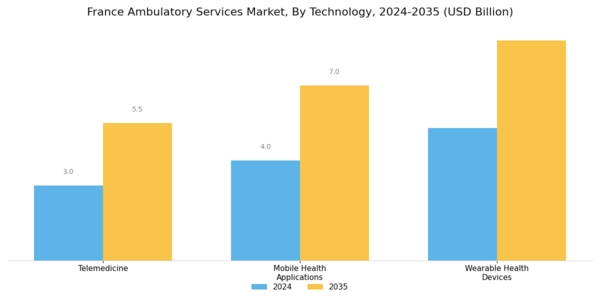 France Ambulatory Services Market Segment Image 3