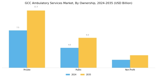 GCC Ambulatory Services Market Segment Image 1