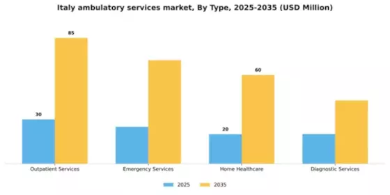 Italy Ambulatory Services Market Segment Image 3