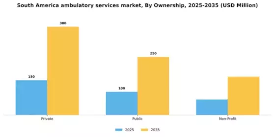 South America Ambulatory Services Market Segment Image 0